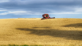 Посевы большинства зерновых в России увеличились – Минсельхоз